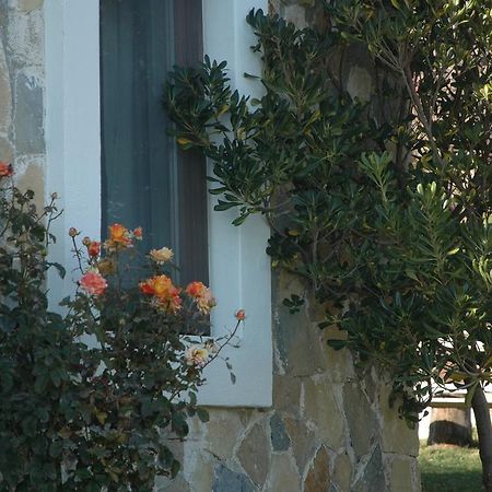 Mavikarga Bozcaada Bed & Breakfast Exterior photo